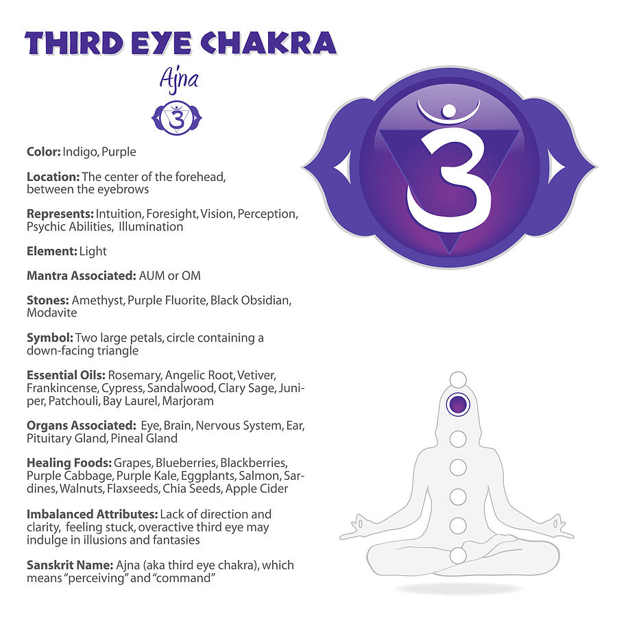 Detail Third Eye Chakra Image Nomer 35