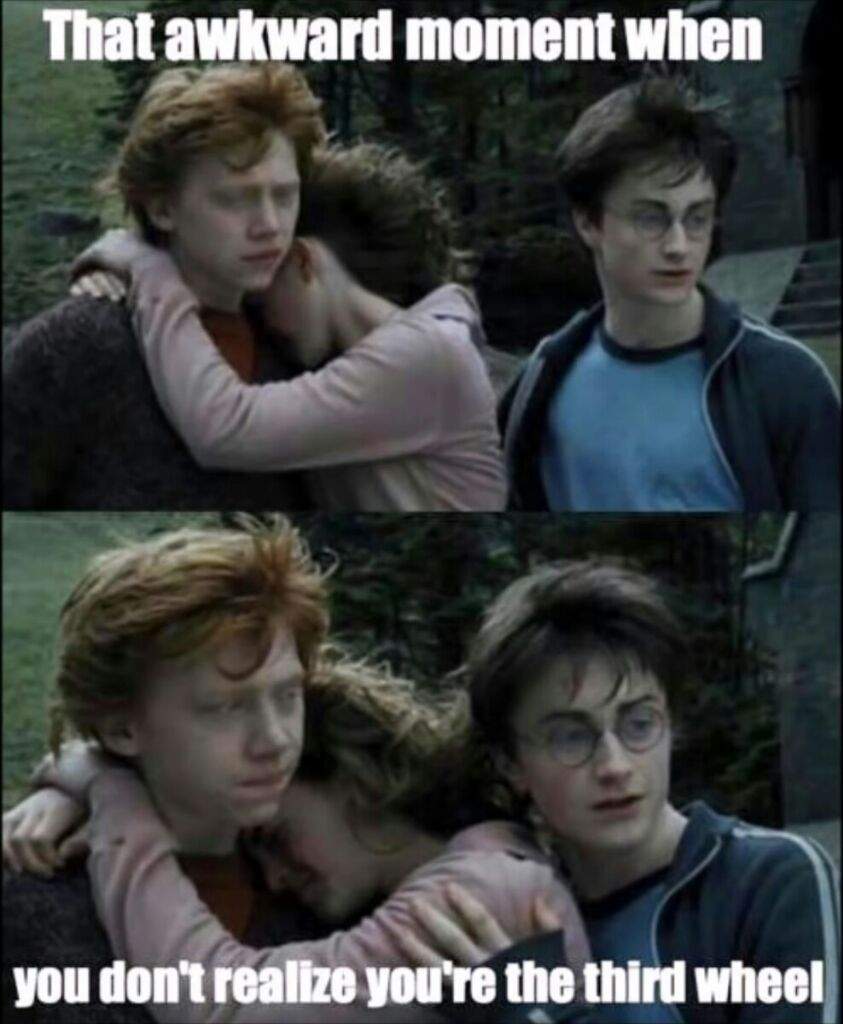Detail Third Wheel Meme Nomer 48