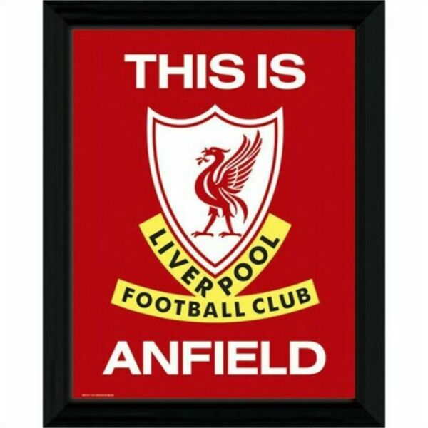 Detail This Is Anfield Logo Nomer 46