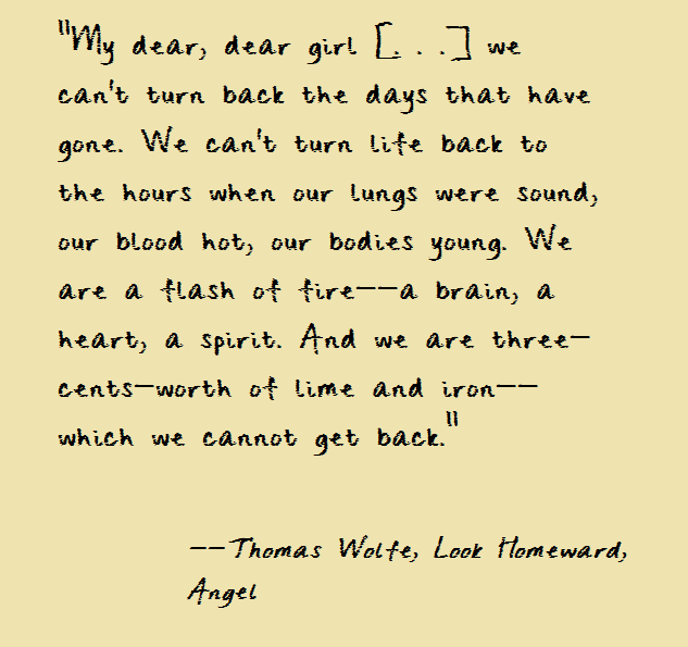 Detail Thomas Wolfe Quotes Nomer 29