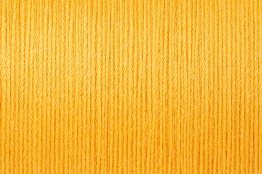 Detail Thread Image Nomer 47