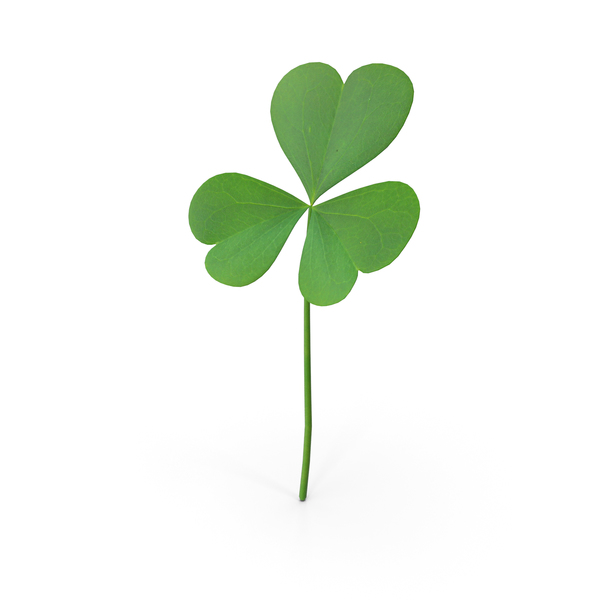 Detail Three Leaf Clover Png Nomer 3