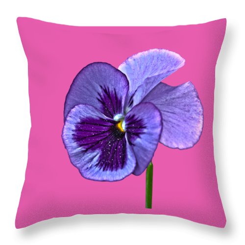 Detail Throw Pillow Transparent Background Nomer 20