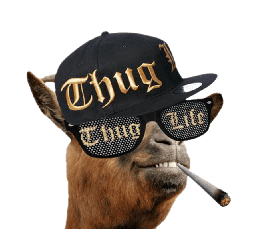 Thug Goat - KibrisPDR