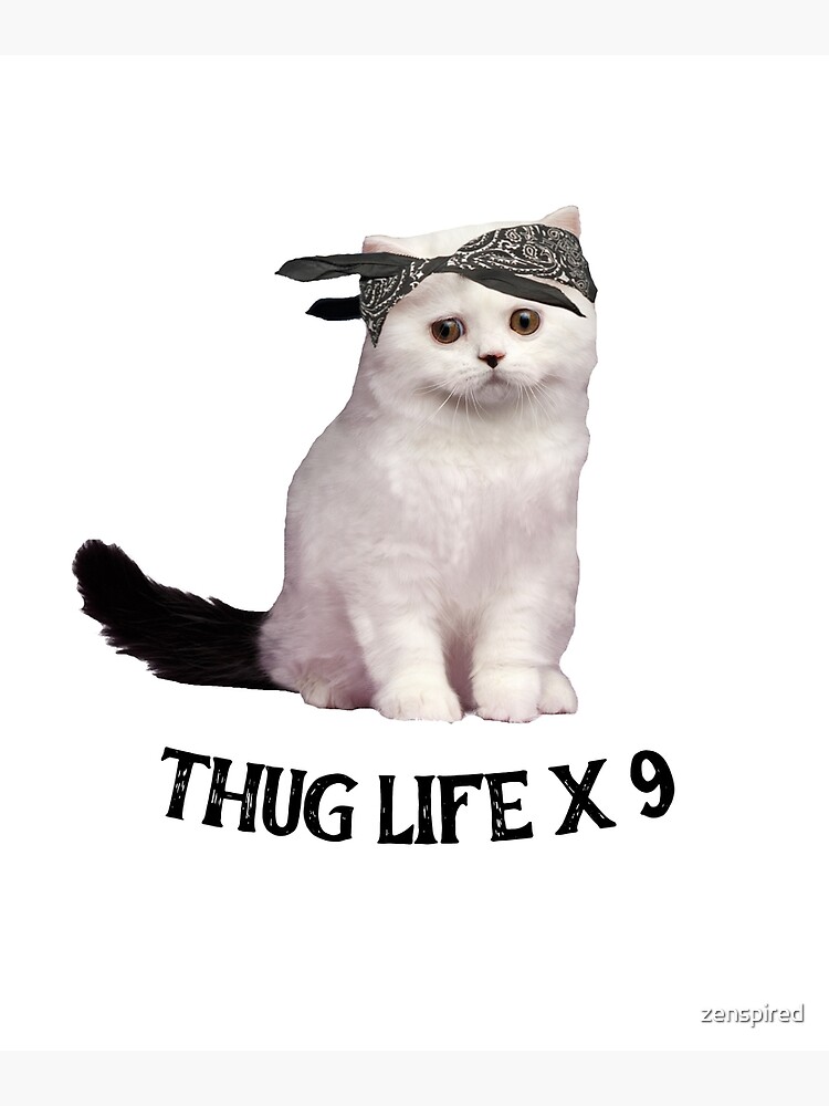 Detail Thug Life Cat And Mouse Nomer 5