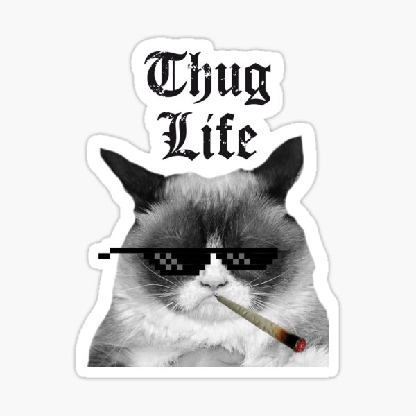 Detail Thug Life Cat And Mouse Nomer 6