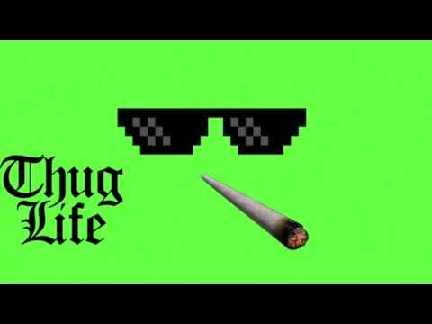 Detail Thug Life Green Screen Nomer 9