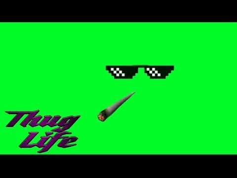 Detail Thug Life Green Screen Nomer 10