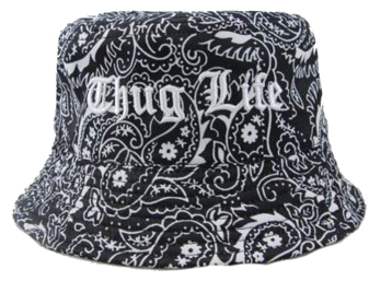 Detail Thug Life Hat No Background Nomer 28