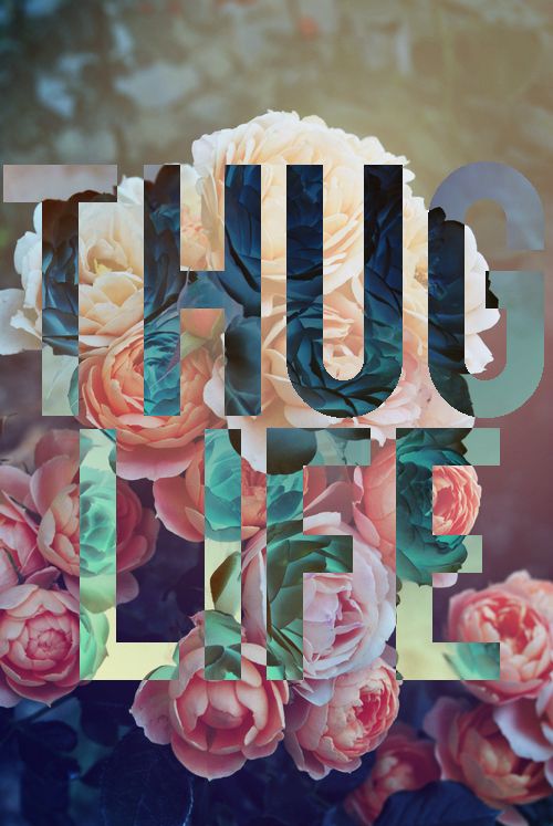 Detail Thug Life Iphone Wallpaper Nomer 24