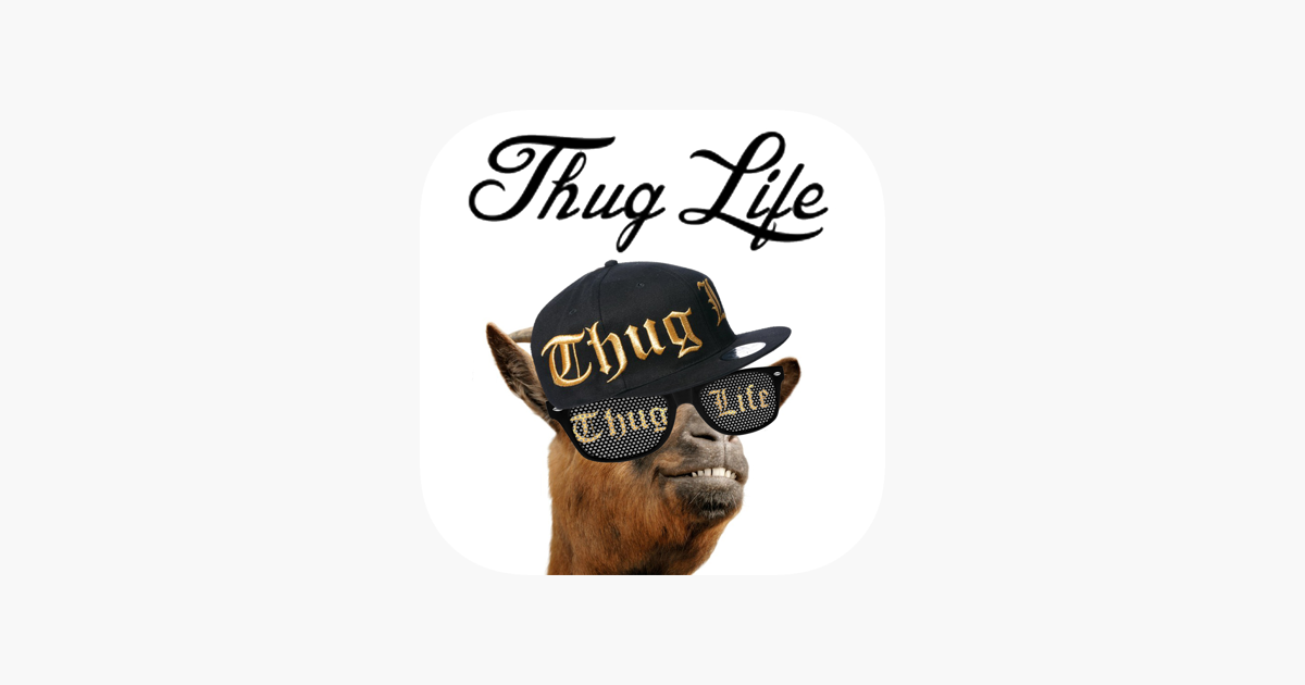 Detail Thug Life Meme Maker Online Nomer 17