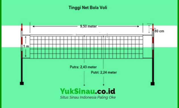 Detail Tiang Dan Net Voli Gambar Nomer 26