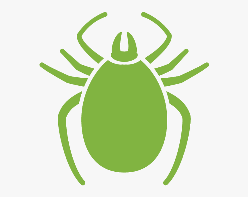 Detail Tick Insect Image Nomer 30