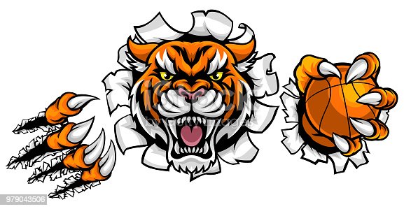 Detail Tiger Basketball Clipart Nomer 16