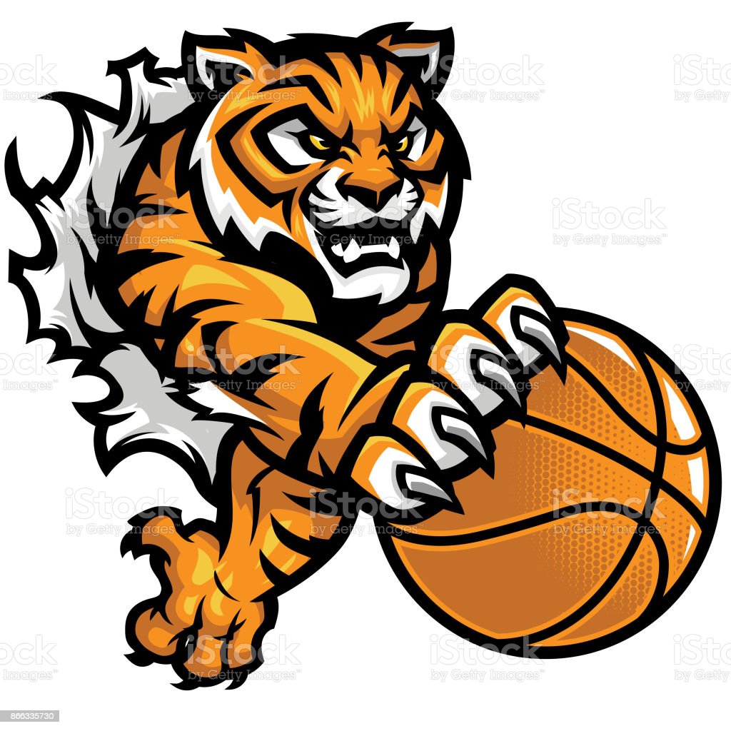 Detail Tiger Basketball Clipart Nomer 26