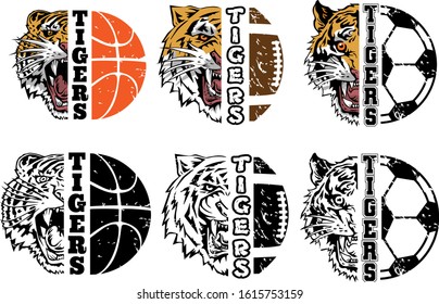 Detail Tiger Basketball Clipart Nomer 27