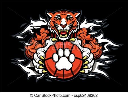 Detail Tiger Basketball Clipart Nomer 31