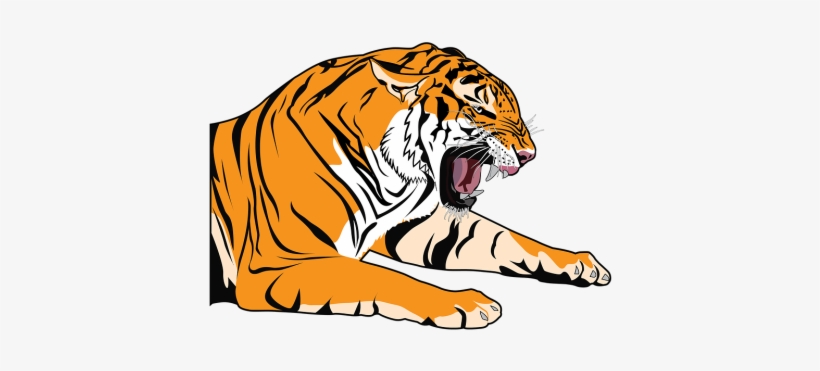 Detail Tiger Cartoon Png Nomer 30