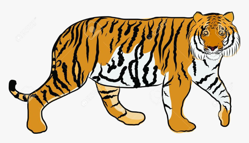 Detail Tiger Clipart Png Nomer 34