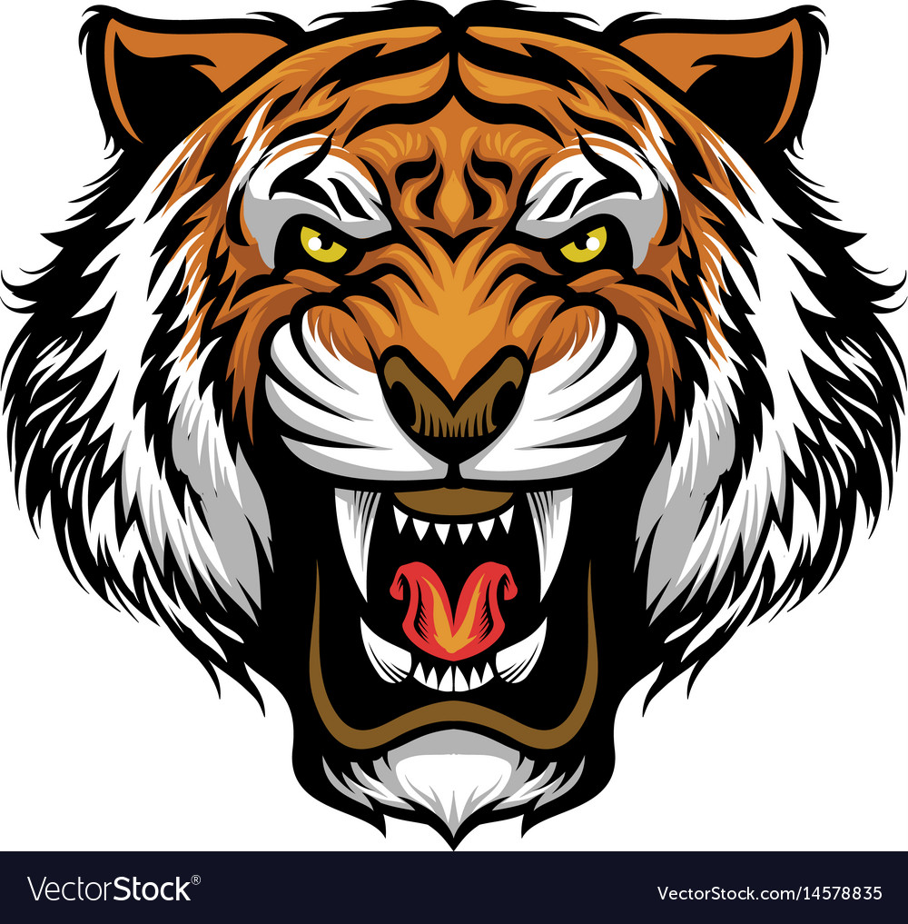 Detail Tiger Face Nomer 11
