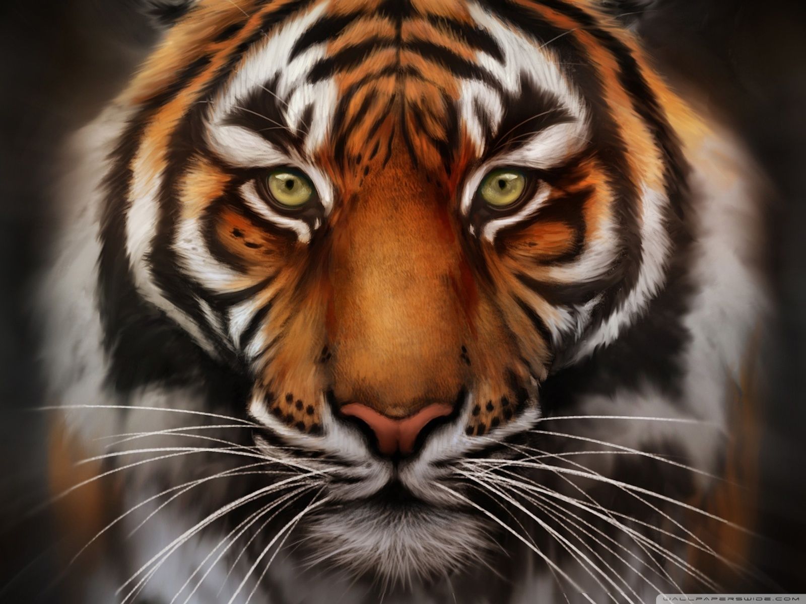 Detail Tiger Face Nomer 30
