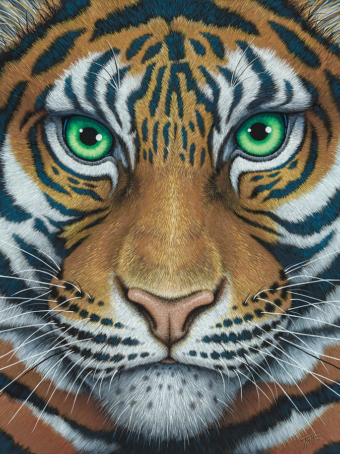 Detail Tiger Face Nomer 36