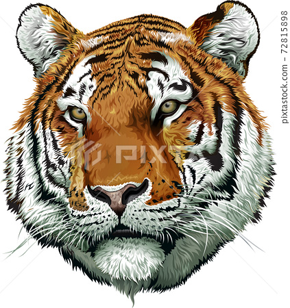 Detail Tiger Face Nomer 40