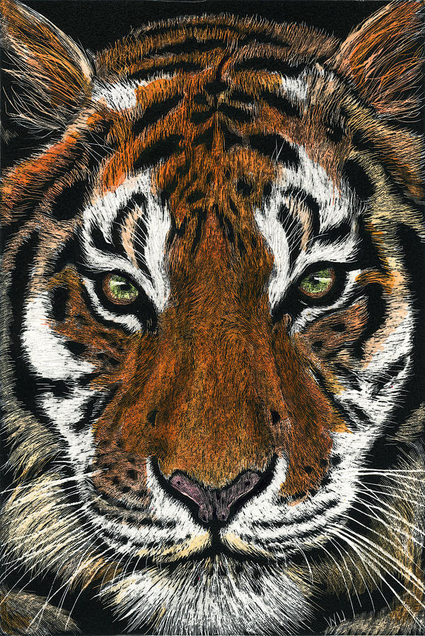 Detail Tiger Face Nomer 41