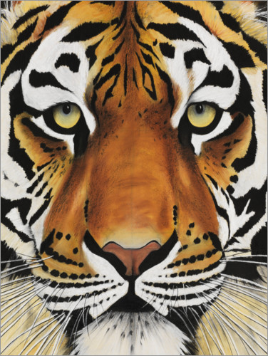 Detail Tiger Face Nomer 44