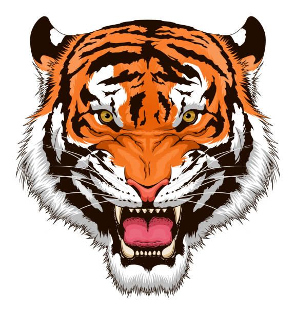 Detail Tiger Face Nomer 6