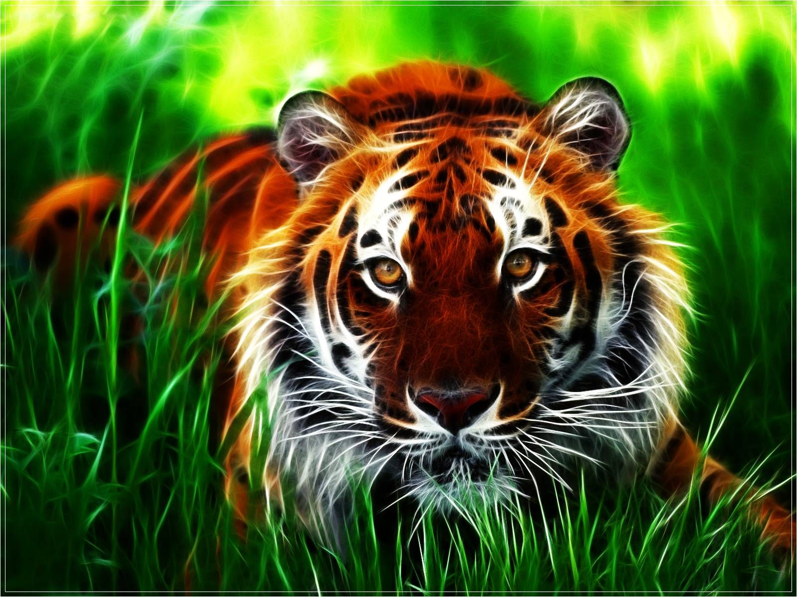 Detail Tiger Hd Wallpaper Nomer 7