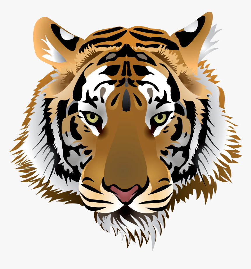 Detail Tiger Head Vector Png Nomer 16