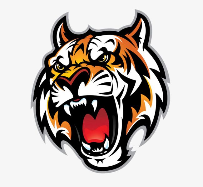 Detail Tiger Head Vector Png Nomer 21