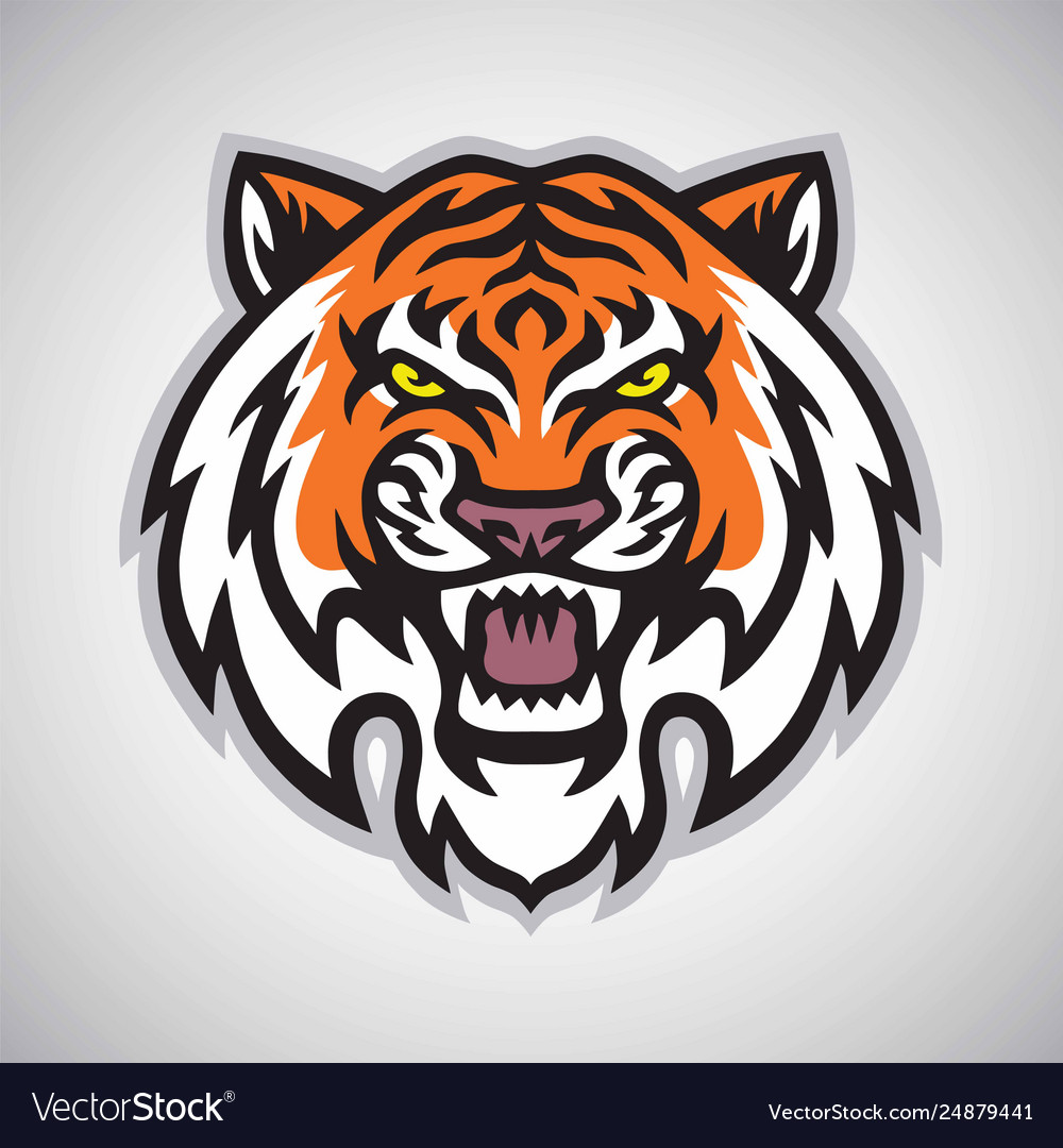 Detail Tiger Head Vector Png Nomer 49