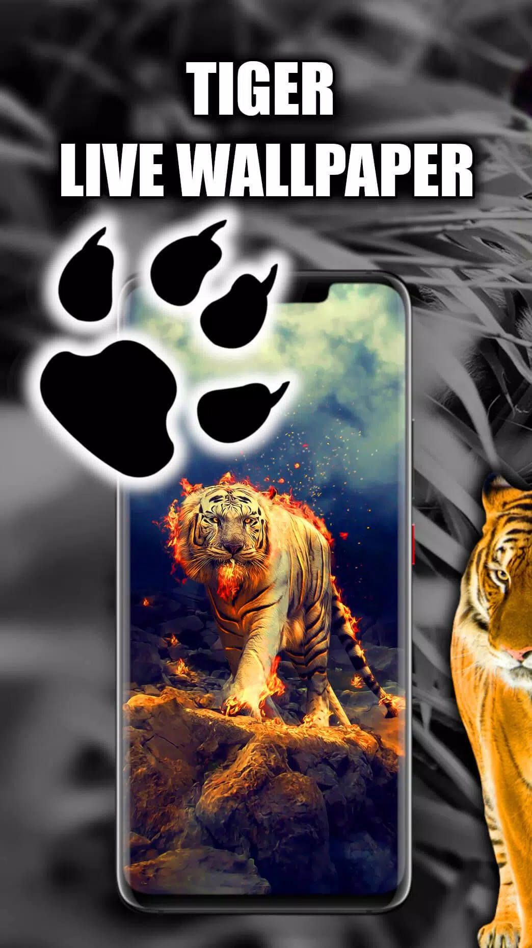 Detail Tiger Live Wallpaper Nomer 51