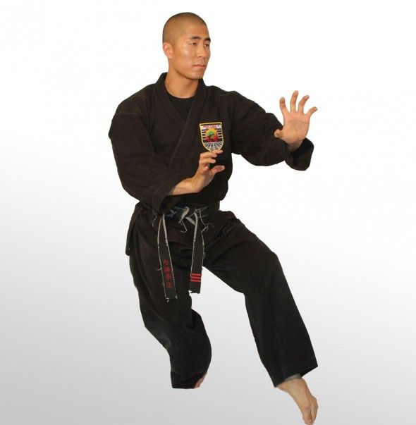 Detail Tiger Paw Martial Arts Nomer 14