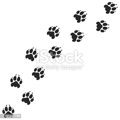 Detail Tiger Paw Print Clipart Nomer 22