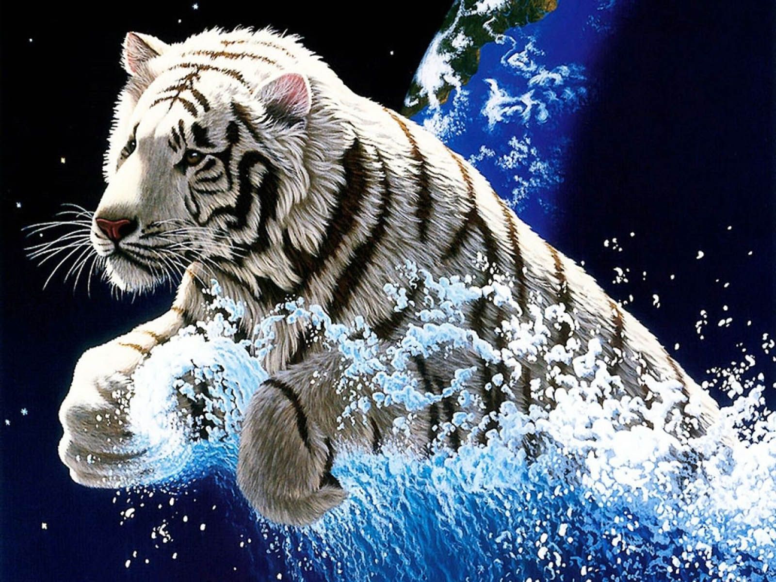 Detail Tiger Pic Download Nomer 55