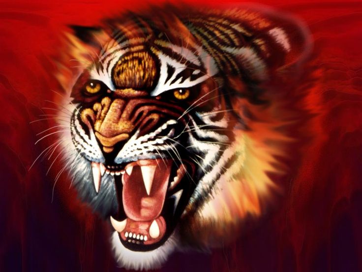 Detail Tiger Pictures To Download Nomer 36