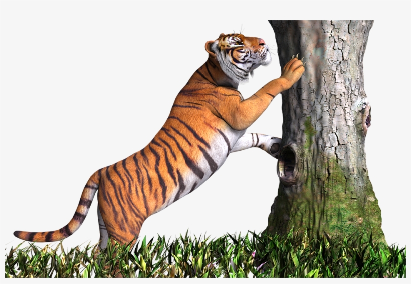 Detail Tiger Png Images Nomer 39