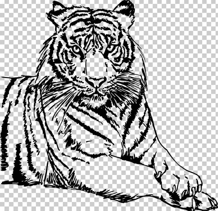 Detail Tiger Png Images Nomer 42