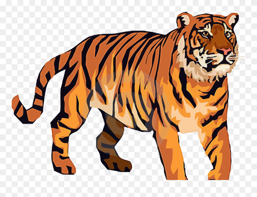 Detail Tiger Png Images Nomer 48