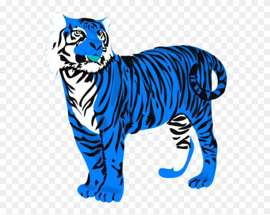 Detail Tiger Transparent Nomer 41