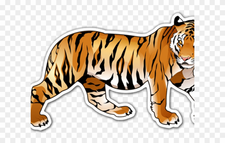 Detail Tiger Transparent Nomer 46