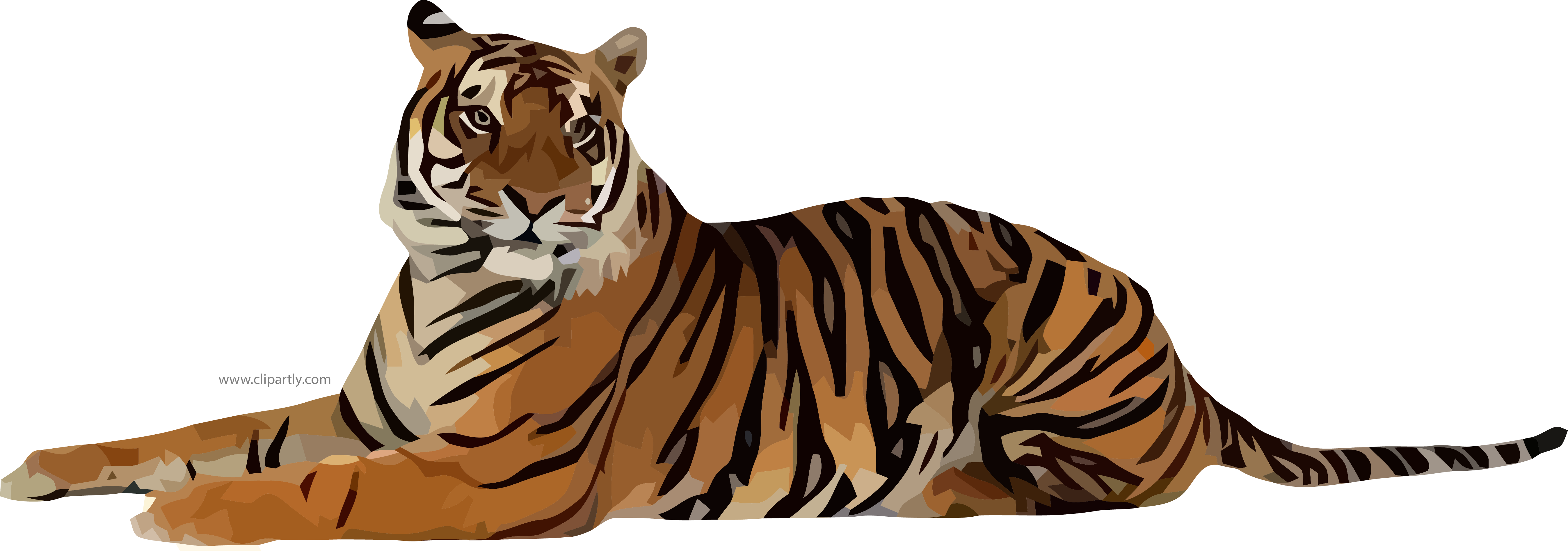 Detail Tiger Transparent Nomer 7