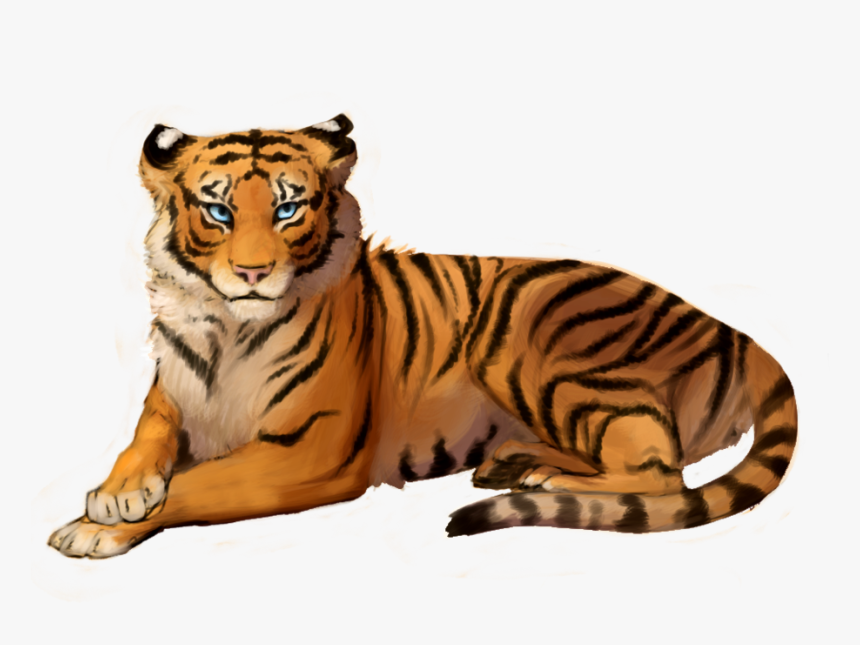 Detail Tiger Transparent Png Nomer 21
