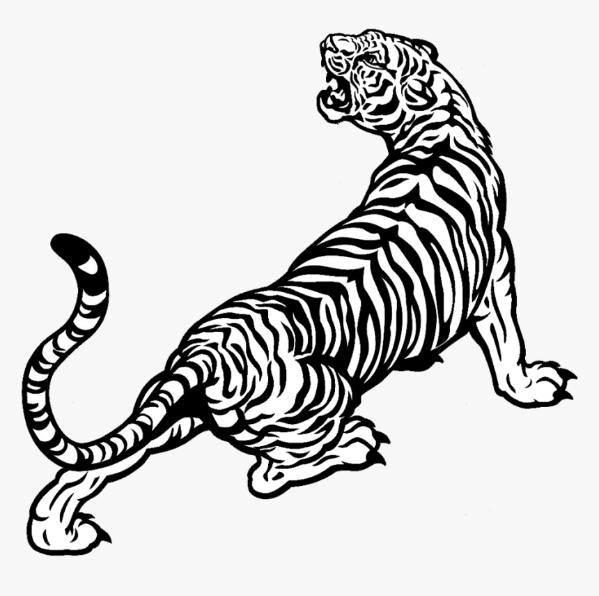 Detail Tiger Transparent Png Nomer 36