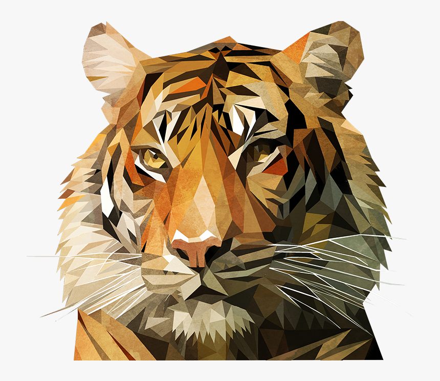 Detail Tiger Transparent Png Nomer 37