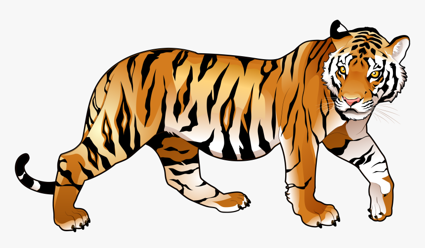 Detail Tiger Transparent Png Nomer 46