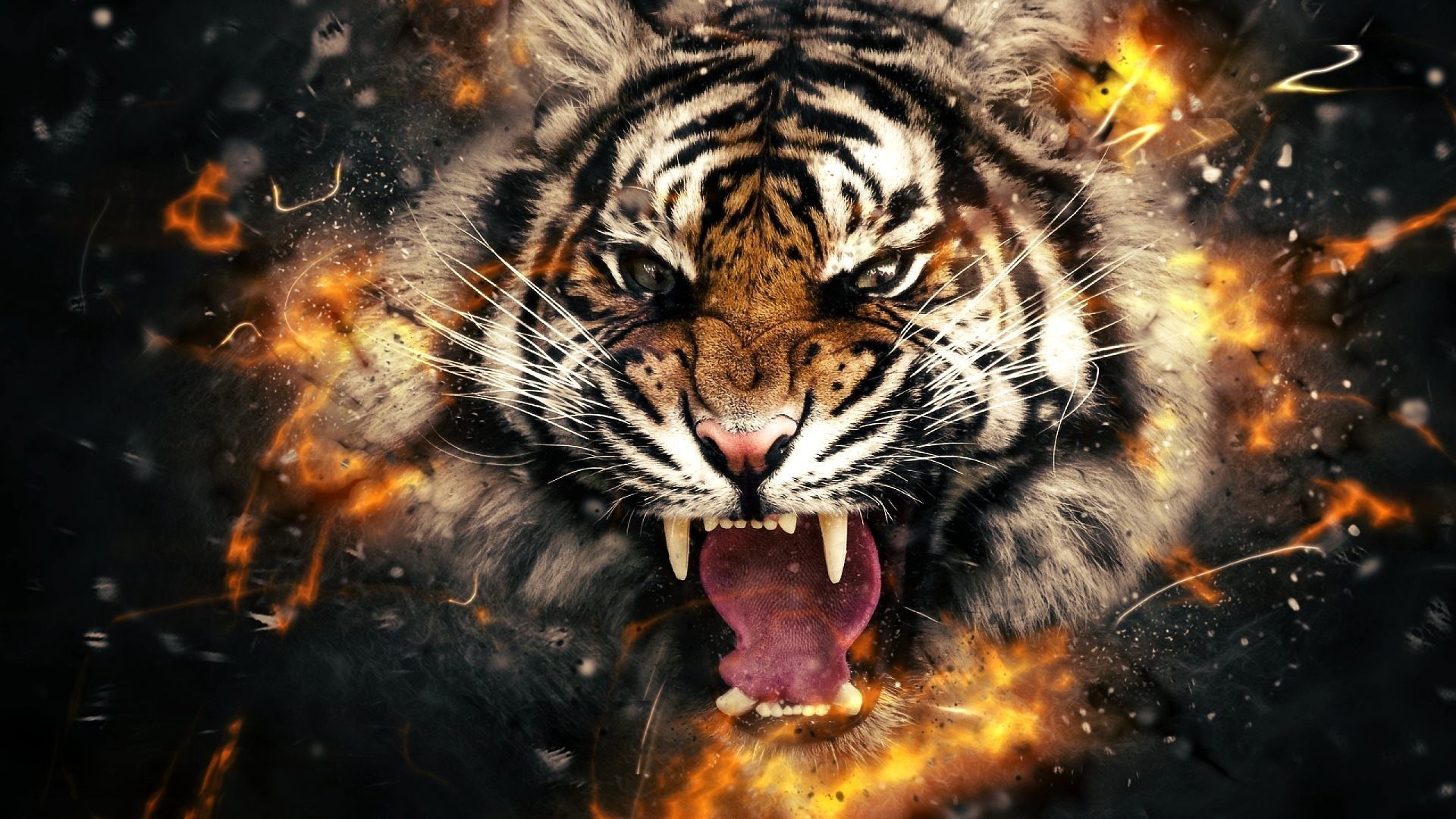 Detail Tiger Wallpaper 3d Nomer 3